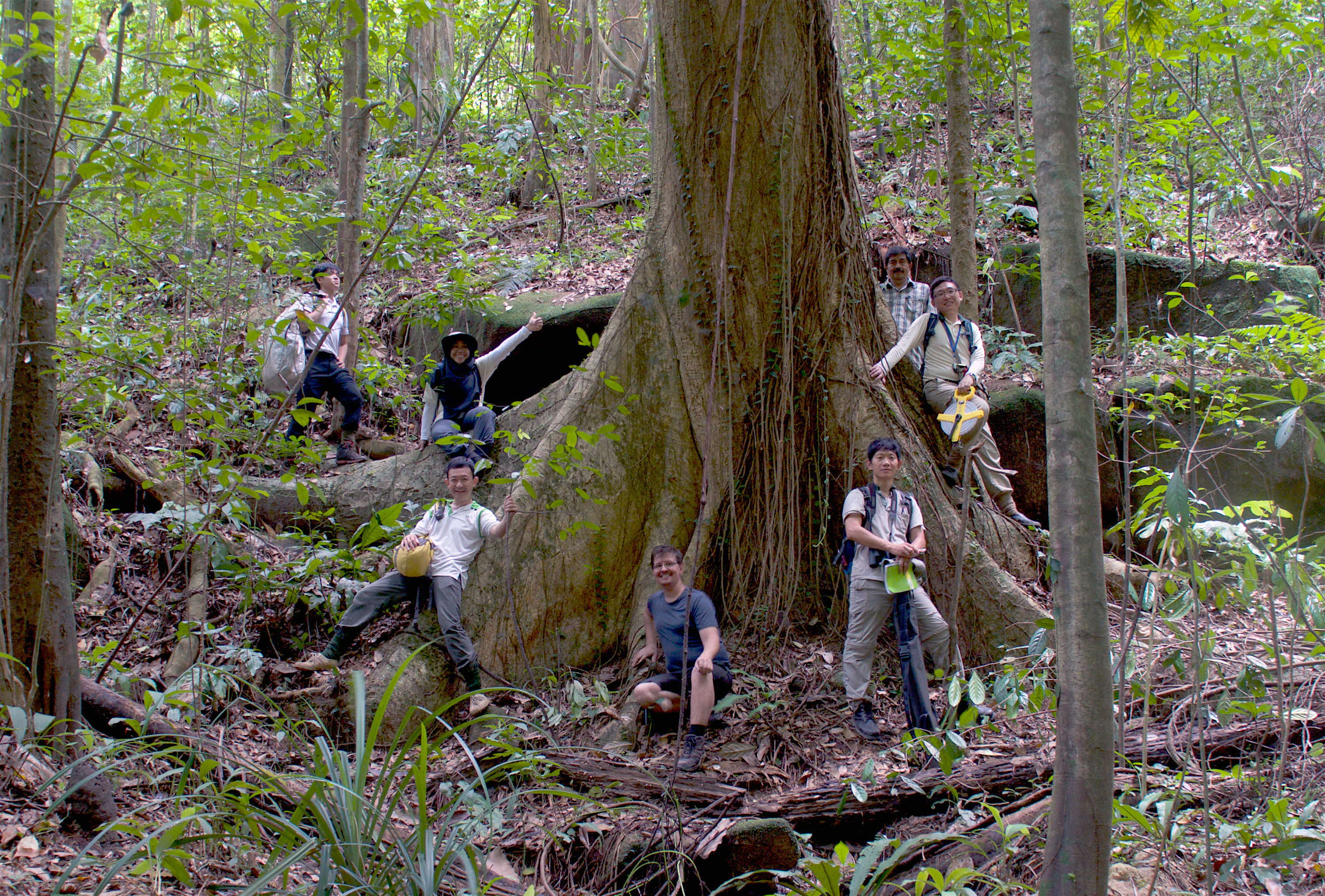 BTNR Fern Valley Survey
